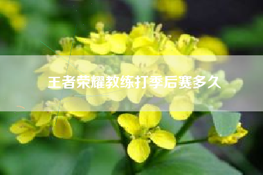 王者荣耀教练打季后赛多久