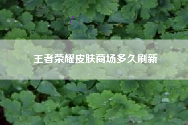 王者荣耀皮肤商场多久刷新