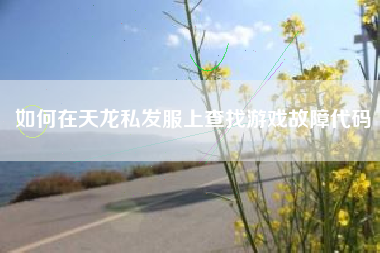 如何在天龙私发服上查找游戏故障代码