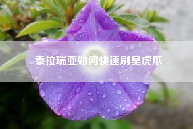 泰拉瑞亚如何快速刷臭虎爪