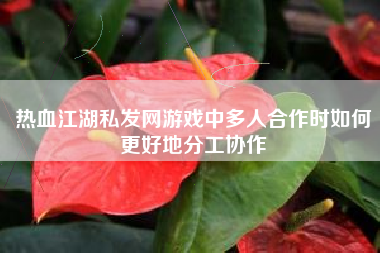 热血江湖私发网游戏中多人合作时如何更好地分工协作