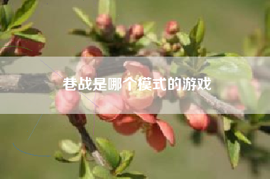 巷战是哪个模式的游戏