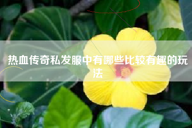 热血传奇私发服中有哪些比较有趣的玩法