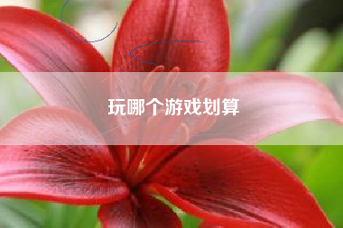 玩哪个游戏划算