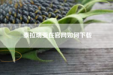 泰拉瑞亚在官网如何下载