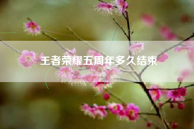 王者荣耀五周年多久结束