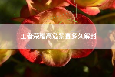 王者荣耀高危禁赛多久解封