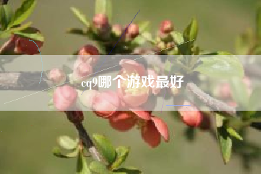 cq9哪个游戏最好