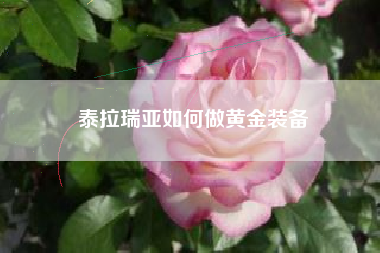 泰拉瑞亚如何做黄金装备