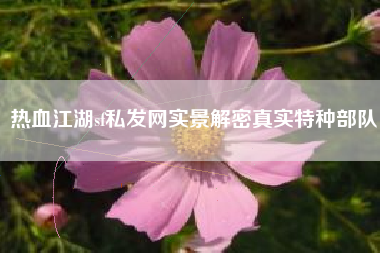热血江湖sf私发网实景解密真实特种部队