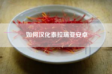 如何汉化泰拉瑞亚安卓