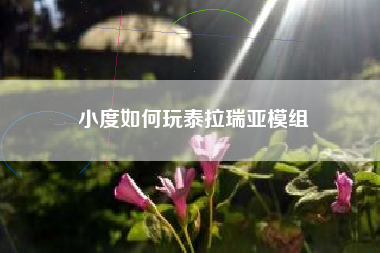 小度如何玩泰拉瑞亚模组