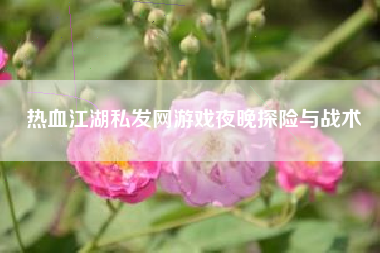 热血江湖私发网游戏夜晚探险与战术
