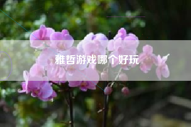 雅哲游戏哪个好玩