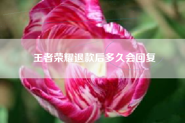 王者荣耀退款后多久会回复