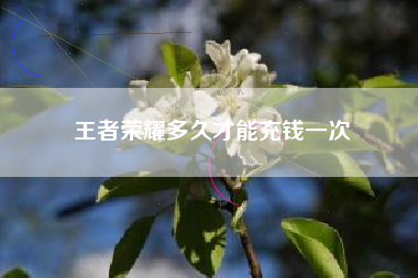 王者荣耀多久才能充钱一次