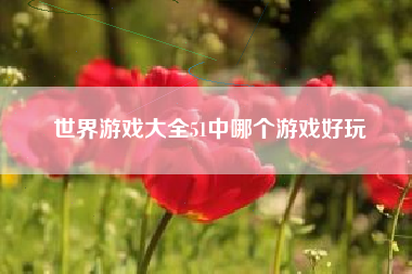 世界游戏大全51中哪个游戏好玩