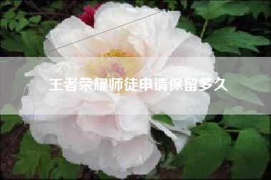 王者荣耀师徒申请保留多久