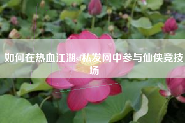 如何在热血江湖sf私发网中参与仙侠竞技场