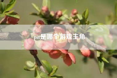 pit是哪个游戏主角