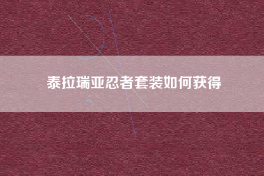 泰拉瑞亚忍者套装如何获得