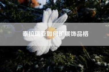 泰拉瑞亚如何扩展饰品格