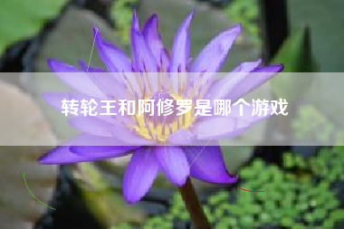 转轮王和阿修罗是哪个游戏