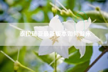 泰拉瑞亚最新版本如何做床