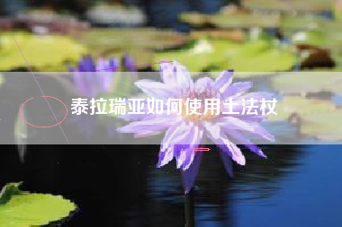 泰拉瑞亚如何使用土法杖