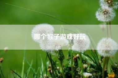 哪个猴子游戏好玩