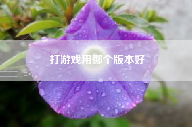 打游戏用哪个版本好