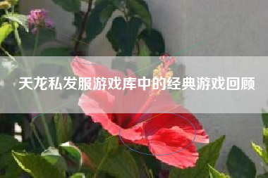天龙私发服游戏库中的经典游戏回顾