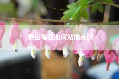 泰拉瑞亚如何站撸克眼