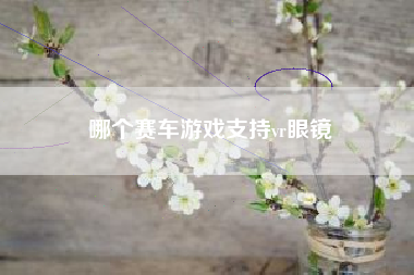 哪个赛车游戏支持vr眼镜