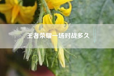 王者荣耀一场对战多久