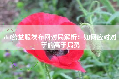dnf公益服发布网对局解析：如何应对对手的高手局势