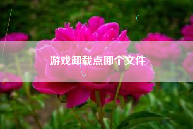 游戏卸载点哪个文件
