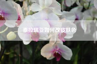 泰拉瑞亚如何改皮肤色