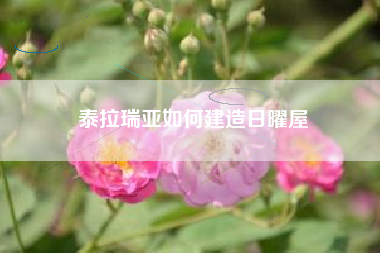 泰拉瑞亚如何建造日曜屋