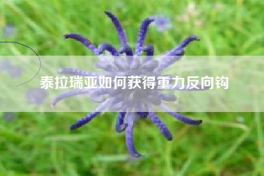 泰拉瑞亚如何获得重力反向钩
