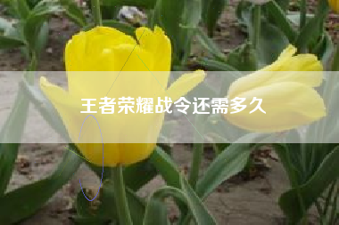 王者荣耀战令还需多久