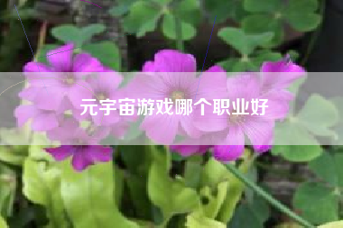 元宇宙游戏哪个职业好