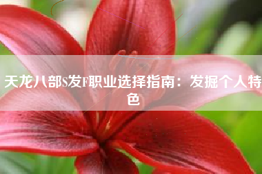 天龙八部S发F职业选择指南：发掘个人特色