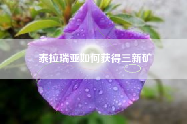 泰拉瑞亚如何获得三新矿