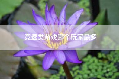 竞速类游戏哪个玩家最多