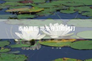 泰拉瑞亚 地牢守卫如何打
