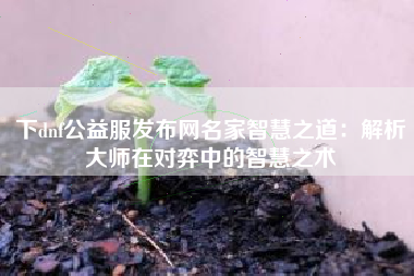 下dnf公益服发布网名家智慧之道：解析大师在对弈中的智慧之术