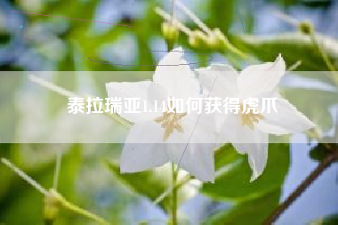 泰拉瑞亚1.14如何获得虎爪