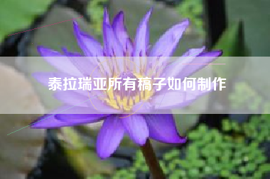 泰拉瑞亚所有稿子如何制作