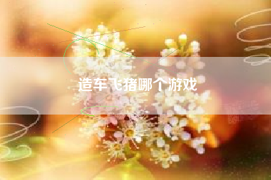造车飞猪哪个游戏